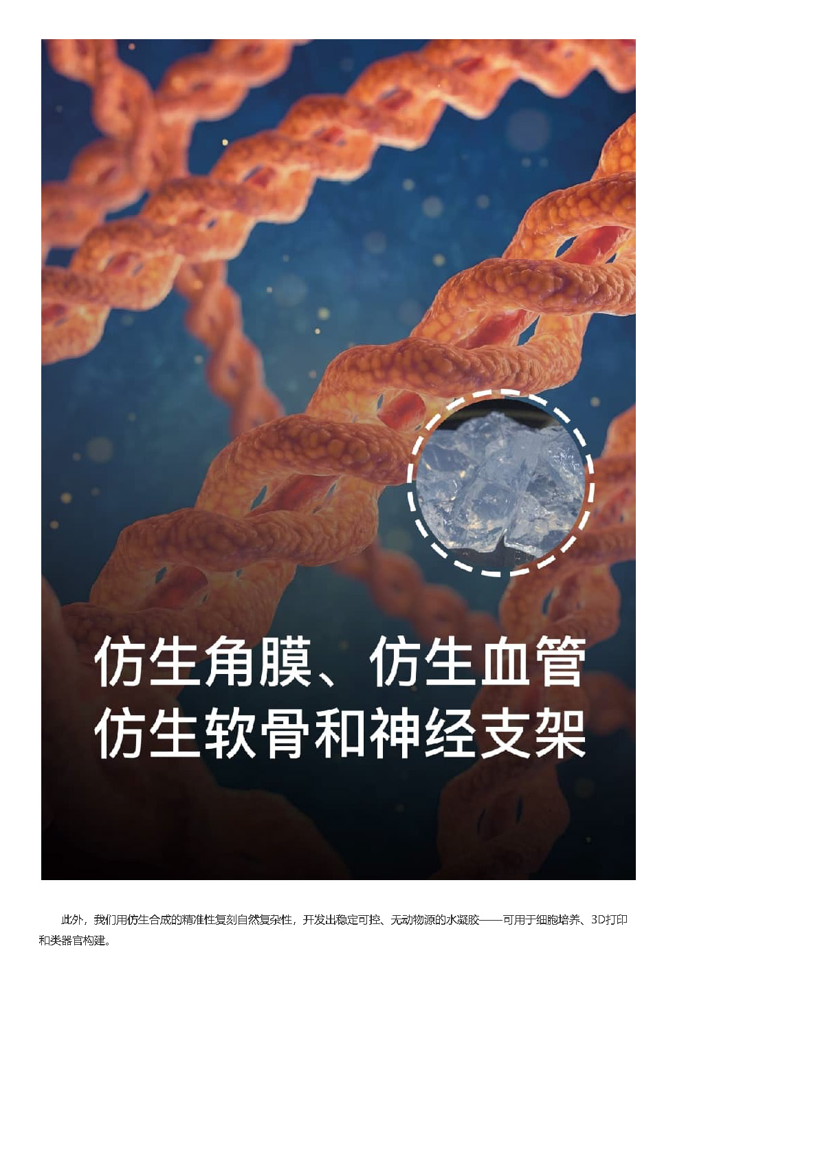 组合 1_页面_24.jpg